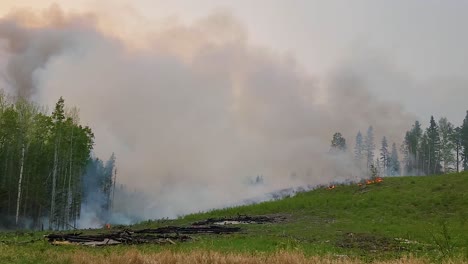 Strong-forest-fire-with-flames-and-smoke-burning-pine-trees-in-Alberta,-Canada