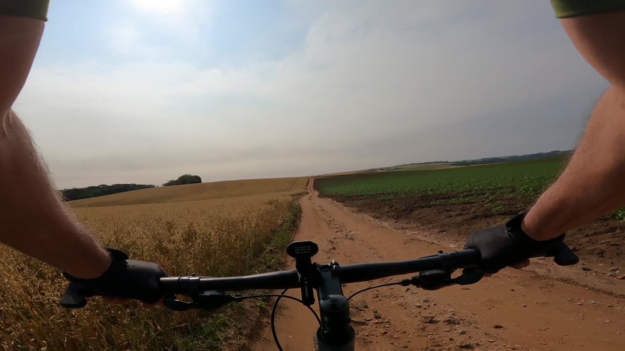 Cyclist on a rural gravel road with crops, first person view