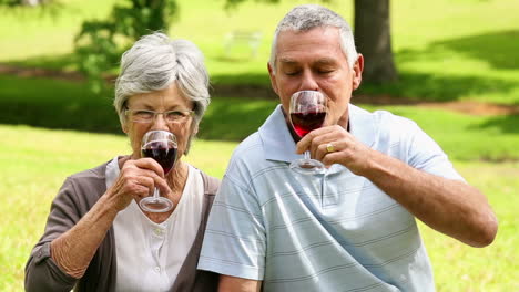 affectionate senior couple drinking red wine in the park