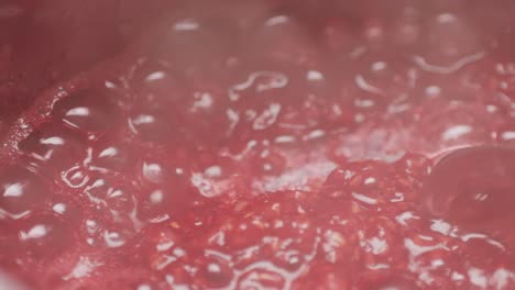 making raspberry jam