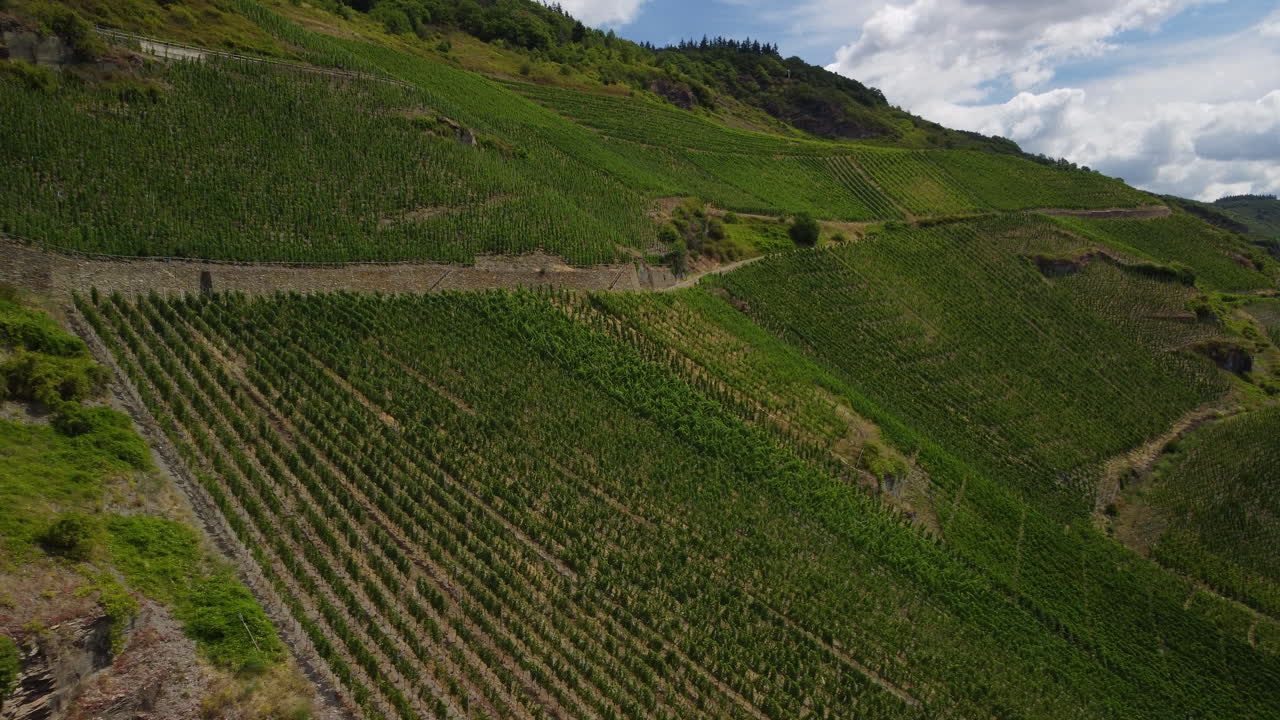 Volo verso un vigneto