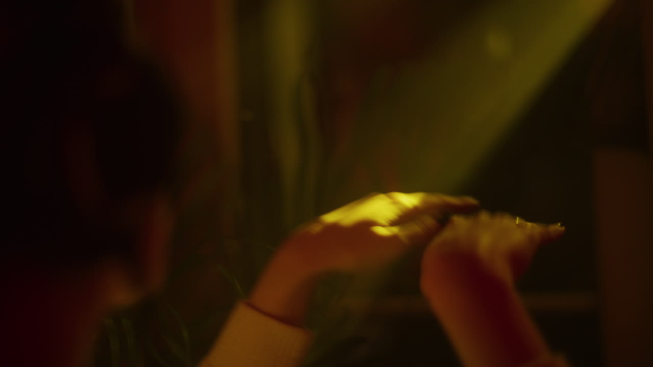 Party Night at a Nightclub