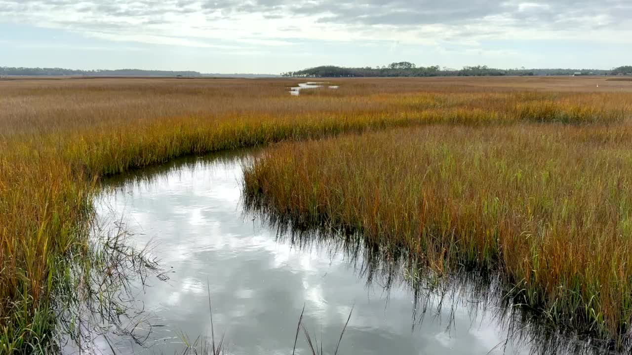 High tide in a intercostal marsh