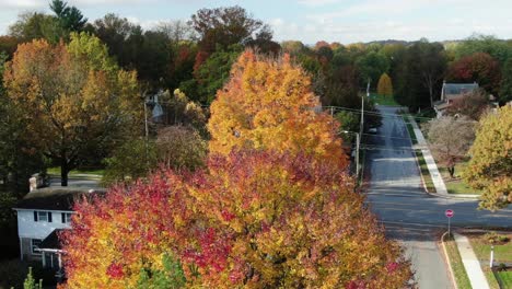 aerial above colorful fall foliage