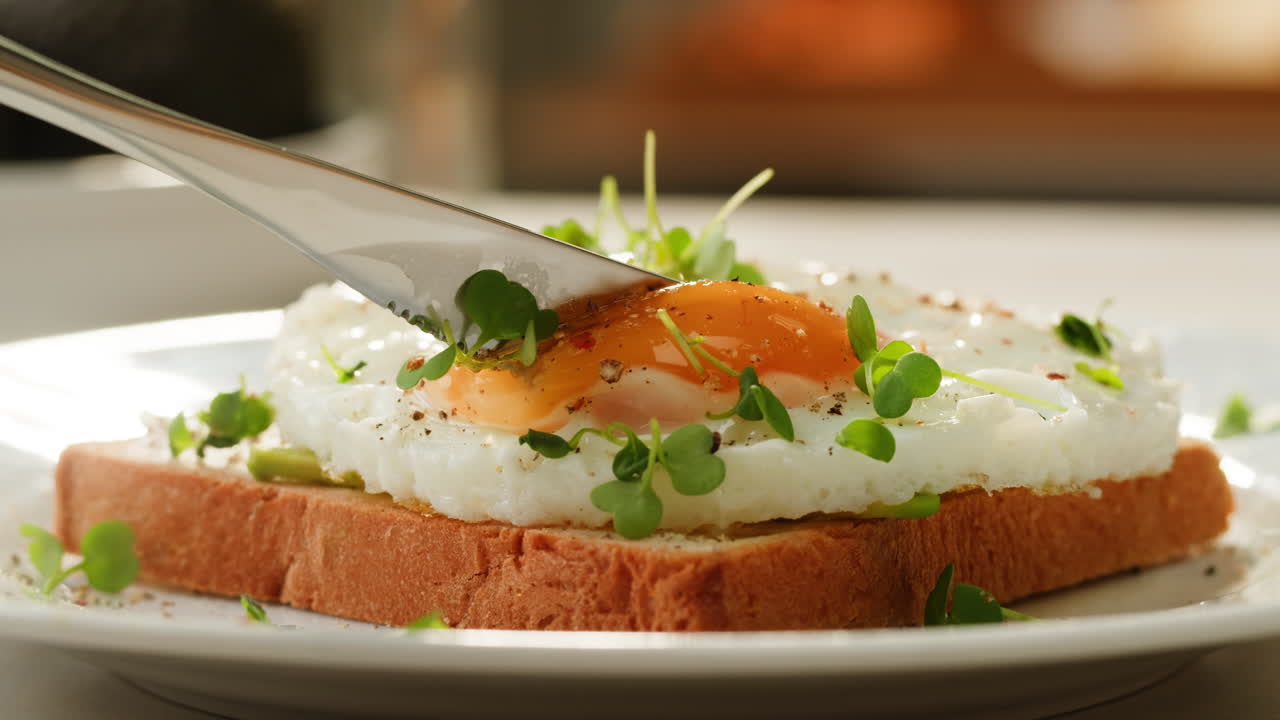 Fried egg sandwich with avocado and microgreens