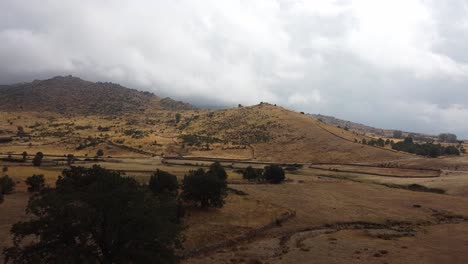 Fields-of-Castilla-la-Mancha