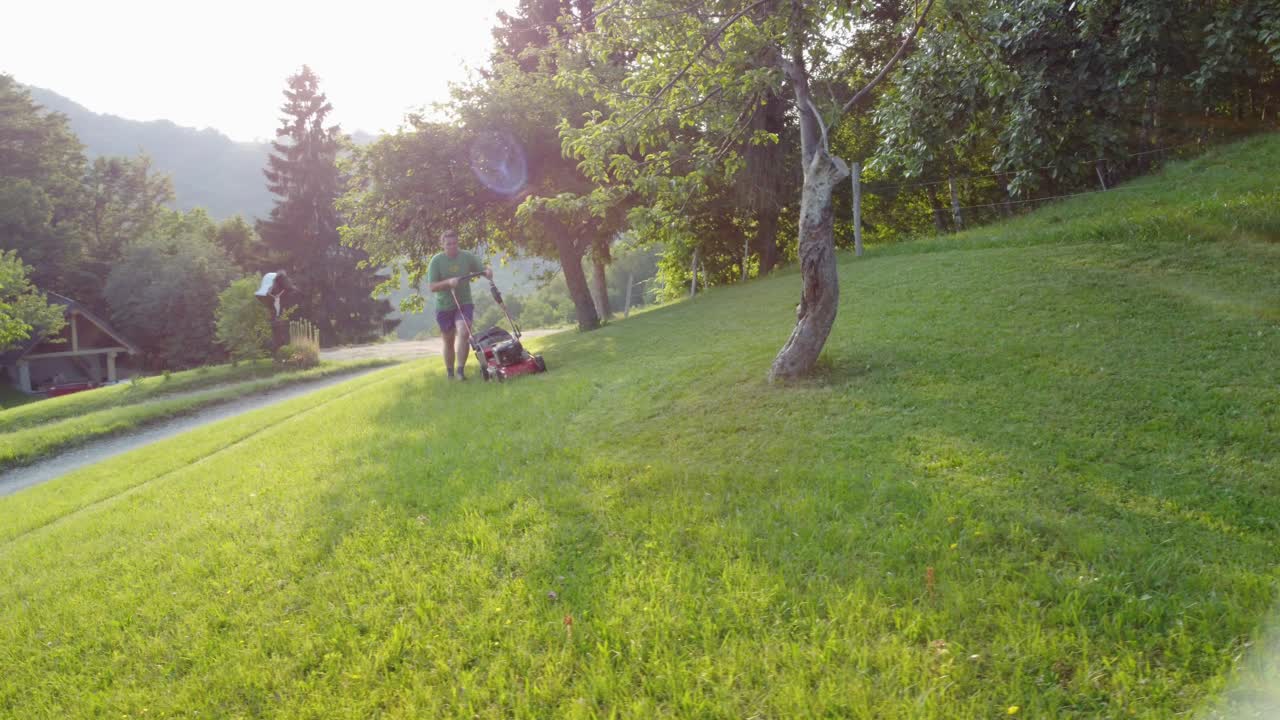 Man with his red lawnmower cutting his lawn between fruit trees with sunset rays shining through trees