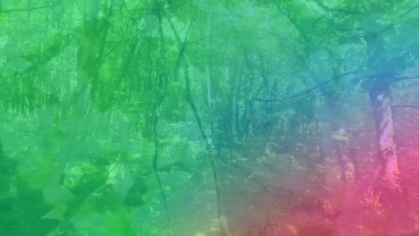 Animation-of-colorful-light-over-forest-and-leaves