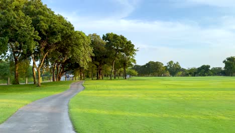 a peaceful walk through lush green scenery