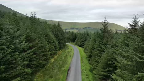 Drone-shot-flying-over-a-road-through-the-trees-with-Glenniff-Horseshoe-in-the-background