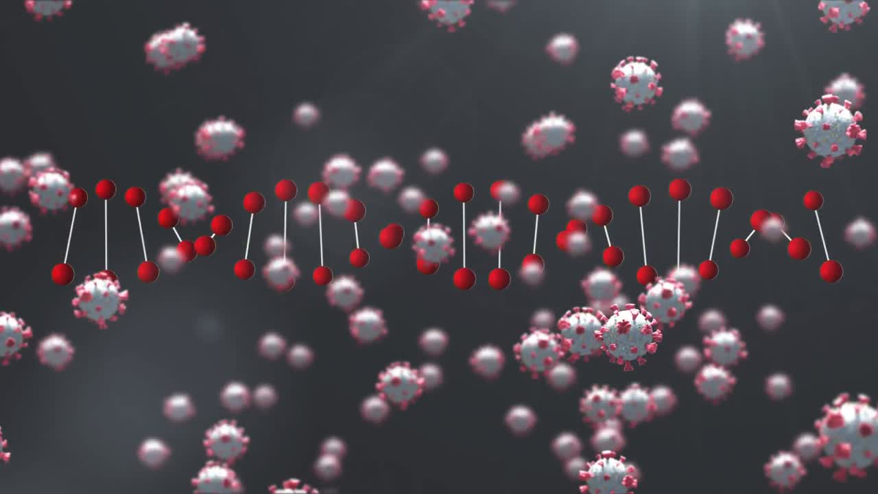dna 구조와 코로나19 세포가 회색 배경에 있습니다.