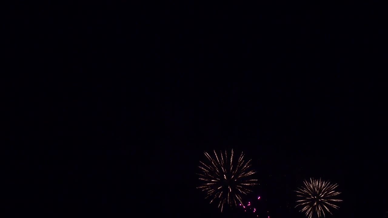 Fireworks explode in the distant night sky. copy space
