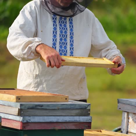 male beekeeper over hives background. man builds new hive protective hat on a male`s head. blurred background. honey and bees concept