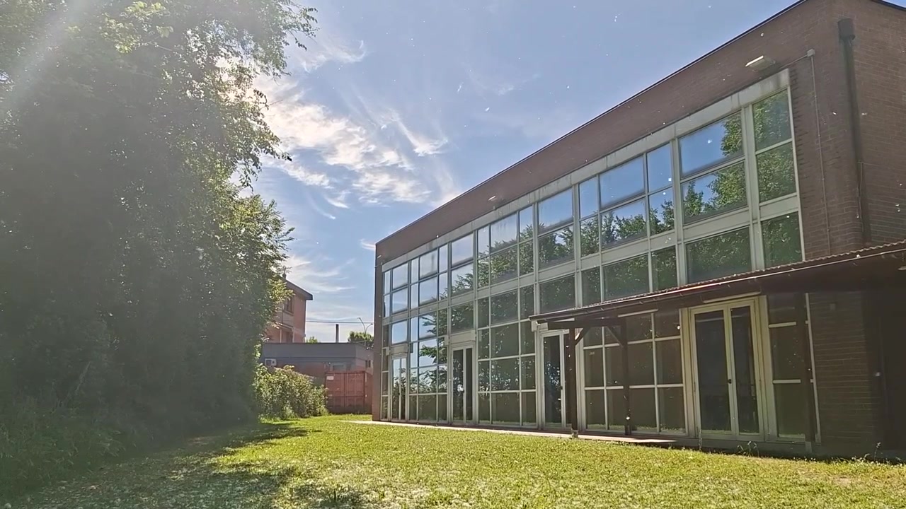 Vista tranquila de un edificio moderno de cristal con pelusa de álamo flotando en el aire.