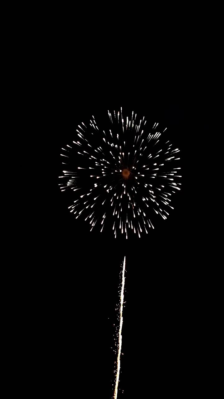 Vista aerea di una vivace esplosione di fuochi d'artificio su un cielo scuro, ripresa in uno stile video dinamico