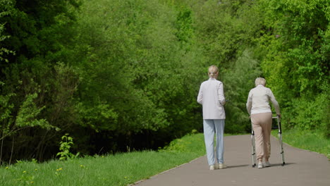 woman assisting elderly person walking in park