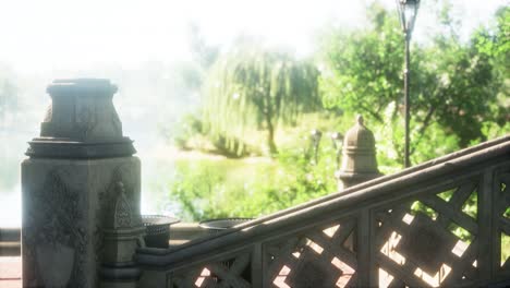 tranquil pond framed by lush green woodland park in sunshine