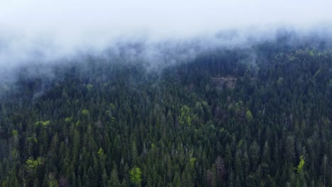 Aerial-view-of-a-dark-mountain-forest-with-tree-tops-covered-with-moody-clouds-in-Vosges,-France-4K
