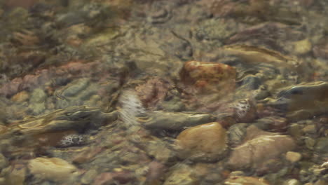 Macro-close-up-of-waves-hitting-seaside-shoreline-shore-bubbles-on-rocky-stone-rock-bed-island-transition-yoga-zen-meditation-calm-nature-sounds-relaxing-smooth-soothing-details-earth