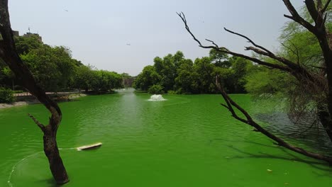 time-lapse of a beautiful green lake at lodhi gardens in new delhi, india