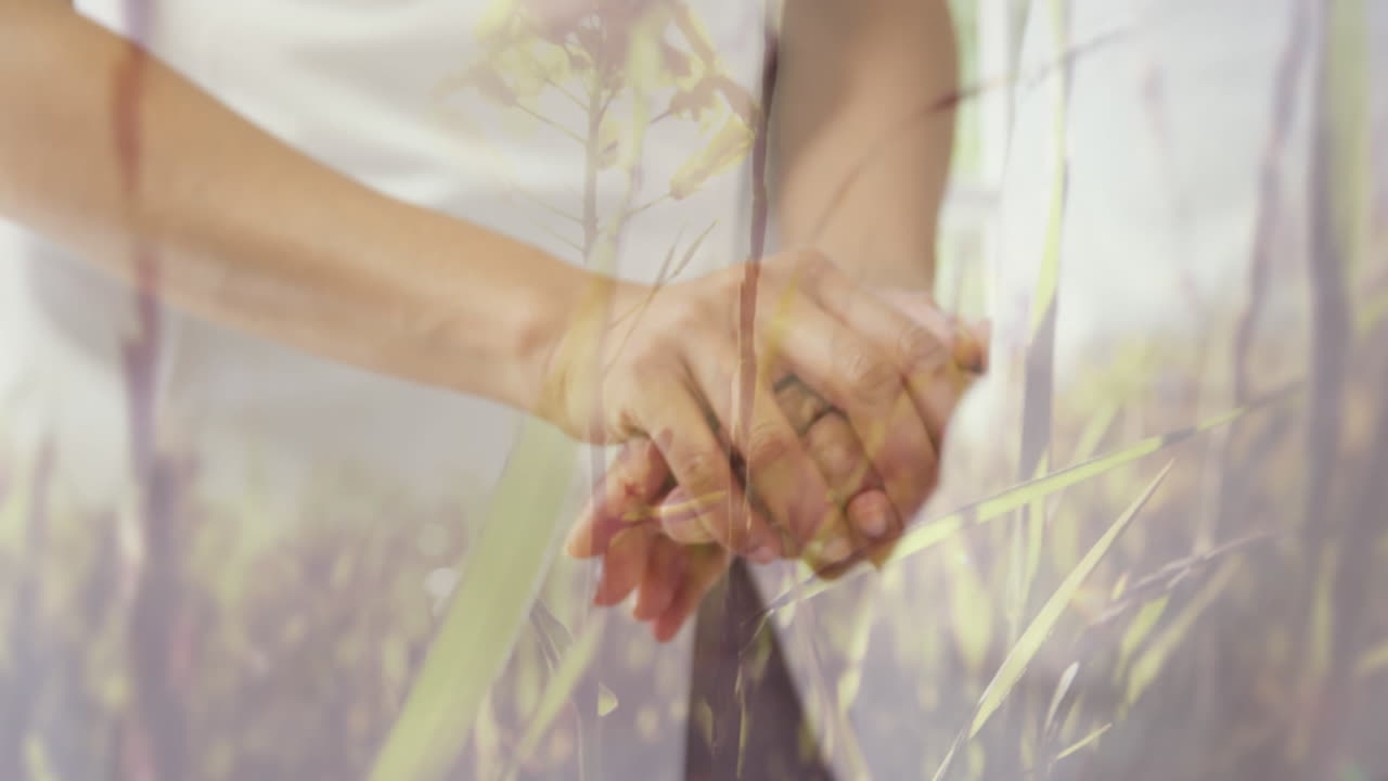 디지털 애니메이션은 바람에 잔디를 보여주고 의사가 환자를 위로하는 것을 보여줍니다.