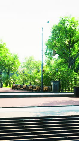 a park with benches and trees