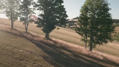 aerial racing drone footage