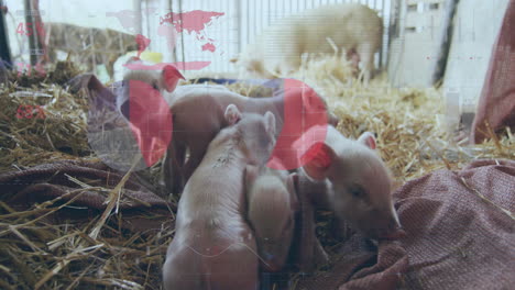 light pink piglet cluster moving on straw bed inside barn pen, in flat design style