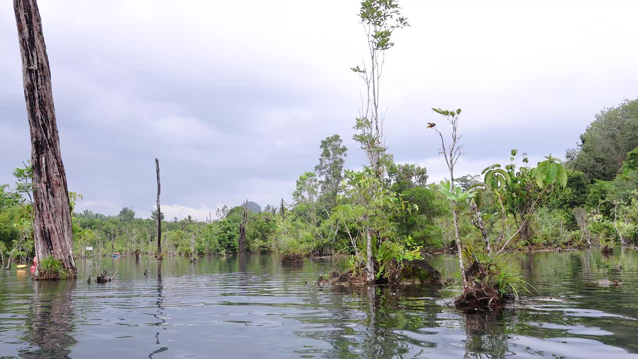 카야크 타는 사람 들 은 울창 한 초록색 으로 둘러싸인 경치 좋은 운하 를 탐험 한다