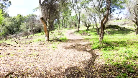 cielo de la aldea al aire libre hermoso paisaje de la aldea del bosque del paisaje aéreo - fotografía aérea del bosque rural kenia - controlador inalámbrico de drones quadcopter
