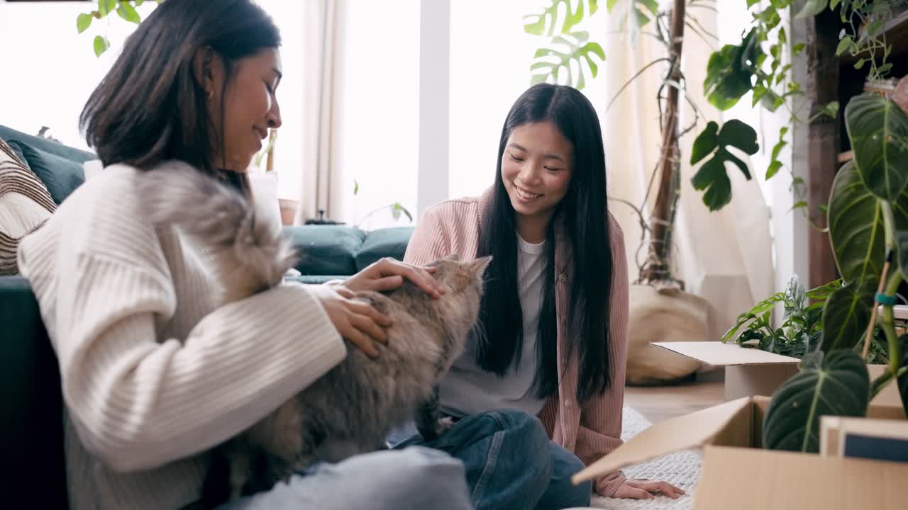 明るいアパートで猫を撫でる若い女性たち