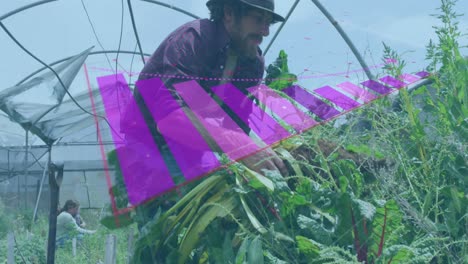 Animation-of-financial-data-processing-over-caucasian-man-working-in-garden