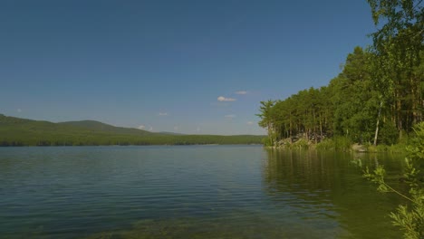 el paisaje sereno del bosque junto al lago