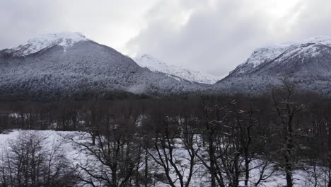 Verschneite-Landschaft-Mit-Blattlosen-Bäumen-Und-Wäldern-In-Den-Bergen