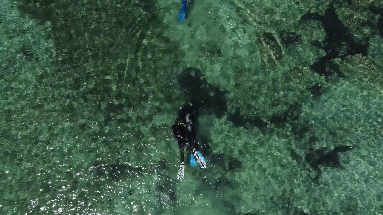 vista aérea mirando hacia abajo a los buzos que exploran las aguas tropicales
