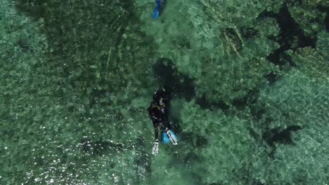 Aerial-view-looking-down-on-scuba-divers-exploring-tropical-waters