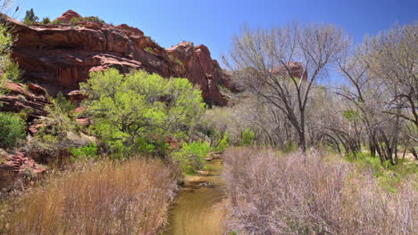 idyllic view of paria river in utah, garfield county - wide shot