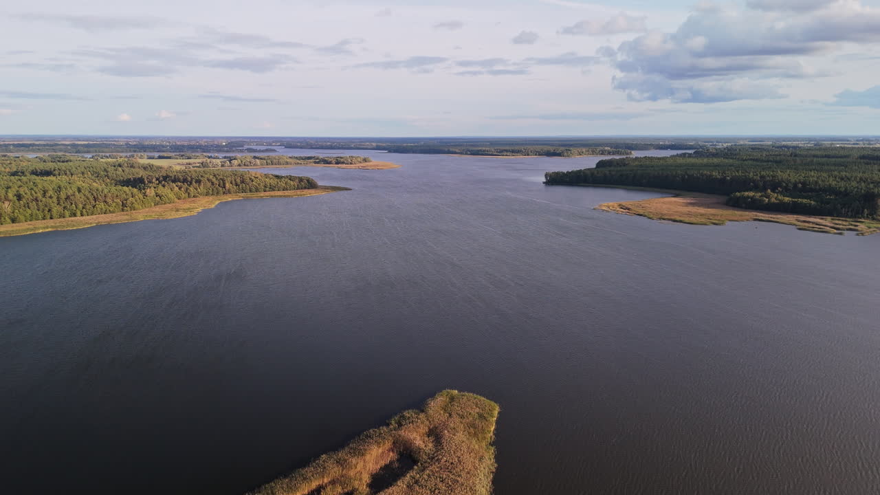Vista aerea di un lago sereno con foresta circostante