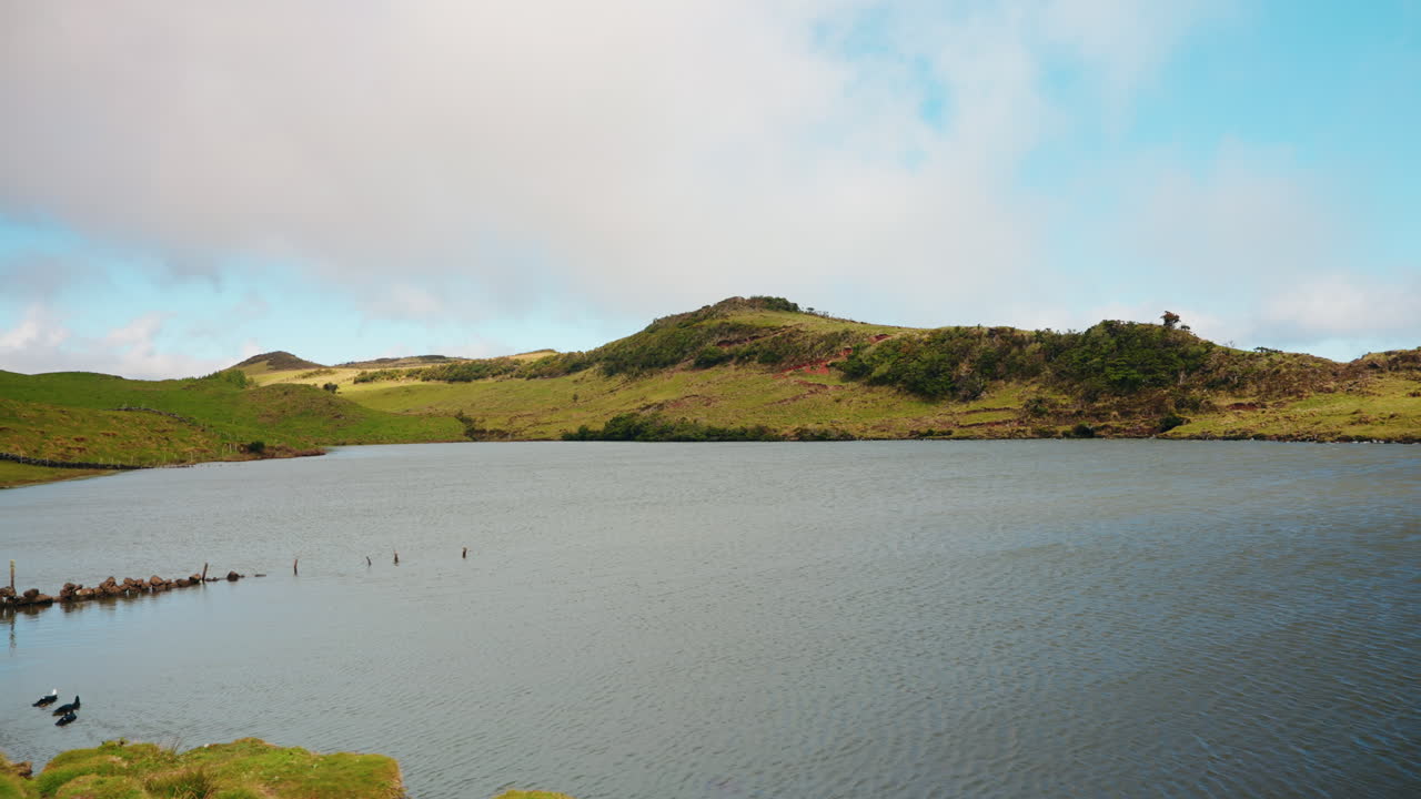 시골의 초록 잔디에 둘러싸인 그림 같은 작은 자연 호수