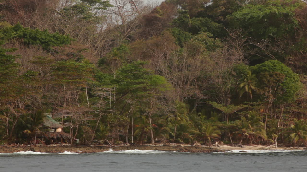 Jungle, solitude, and a passing boat: life flows slowly near the hermit's hidden retreat at the Darien Gap in Colombia.
