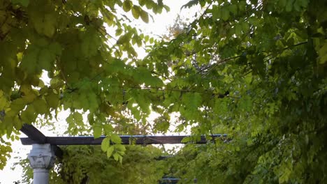 Plants-from-the-Botanical-Garden-in-Balchik-Bulgaria