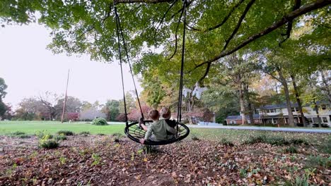 brothers ride rope swing in fall