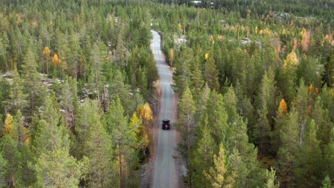conducción de automóviles en una carretera estrecha entre pinos en el parque nacional dovrefjell, noruega