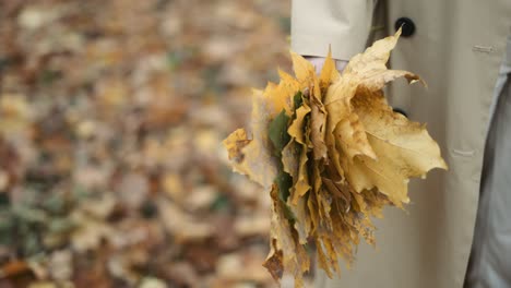 Unrecognizable-woman-walking-between-golden-trees-with-pile-of-yellow-leaves