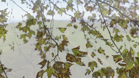autumn leaves in animation swaying over countryside landscape with winding path