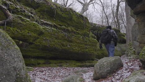 slow motion footage of a hiker wearing a backpack walking through the forest against a mossy cliff and giant boulders on a gray winter day