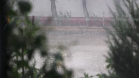 Regen-Fällt-In-Der-Regenzeit-Auf-Den-Boden---Breit