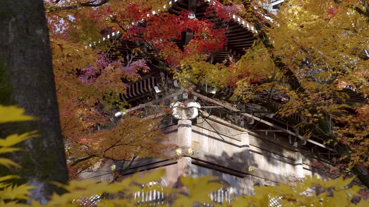 Incredible detailed facade of Japanese shrine flanked by autumn colors in slow motion
