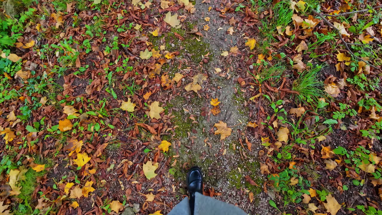 POV shot of a tourist wearing black boots and walking down the forest alley in autumn during daytime.