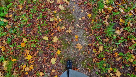 pov shot of a tourist wearing black boots and walking down the forest alley in autumn during daytime.